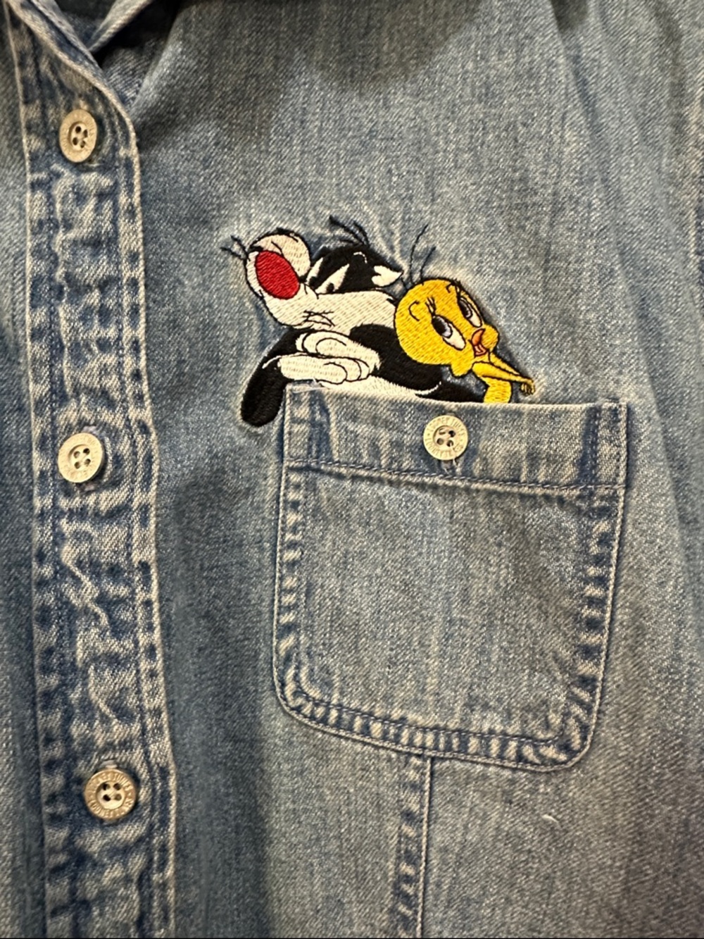 Warner Bros. Light Blue Denim Button-Down Shirt with Character Embroidery - Picture 2 of 5